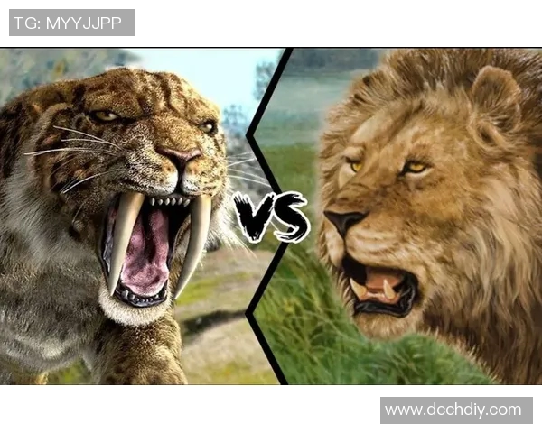 30阿特拉斯VS美洲狮：巅峰对决，新老势力碰撞